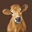 browncowfarm.com