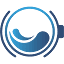 dls.co.uk