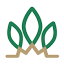 greenroofsdirect.com
