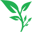 jigglygreenhouse.com