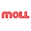 moll-batterien.de
