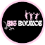 bigbounce223.com
