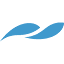 dendreon.com