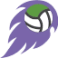 dodgeball.sa