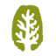 forestwholefoods.co.uk