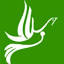 infosalam.com