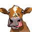 kmoo.com