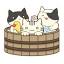 kyupiburogu.com