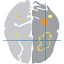 neuroscienceireland.com