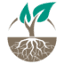planthealthcure.com