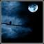 raz0r.name