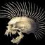 salvidrim.net