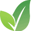 wiser.eco
