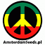 amsterdamseeds.pl