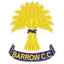 barrowcricket.com