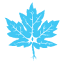 can-acn.org