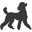 clevercaninetraining.com