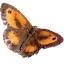 gatekeeper.org.uk