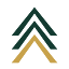 intentionalgrowthpartners.com