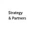 strategyandpartners.com