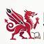 thenational.wales