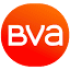bvams.com