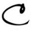 campanileplasticsurgery.com