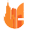 cryptogcity.com