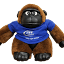 envservices.com