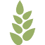 ipes-food.org