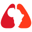 projectpedicap.org