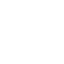 wildbeesproject.org