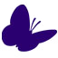 albanypinebush.org