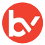 binaryvast.com