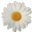 daisyfoundation.org