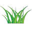 expressgrass.us