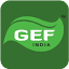 gefindia.com