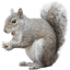 inanutshell.com