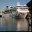 mycruisestories.com