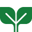 otaseed.co.jp
