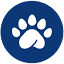 pandape.io