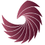 phoenixevolution.ae