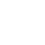 salsadancers.ch