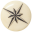 starbay.com