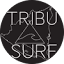 tribusurfnicaragua.com