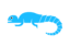 umxstudio.co