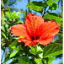 vattersgarden.com