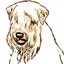 wheatenrescue.org