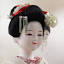 55maiko.org