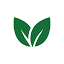 amadere.com